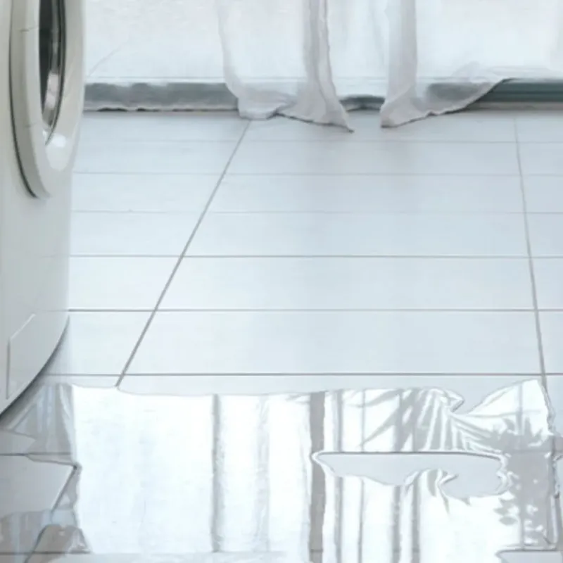 Appliance Leak Cleanup in Fairfield County, SC
