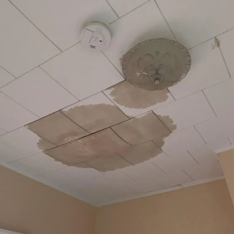 Ceiling Water Damage Repair in Fairfield County, SC