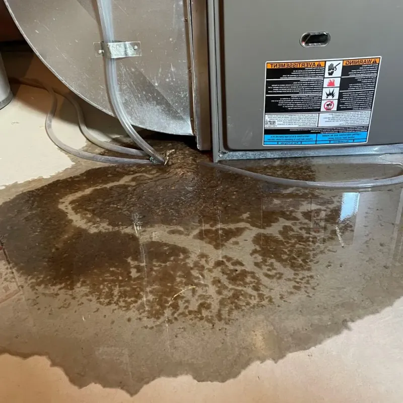 Pipe Burst and Leak Restoration in Fairfield County, SC