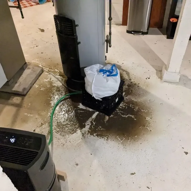 Sewage Backup Cleanup Service in Fairfield County, SC